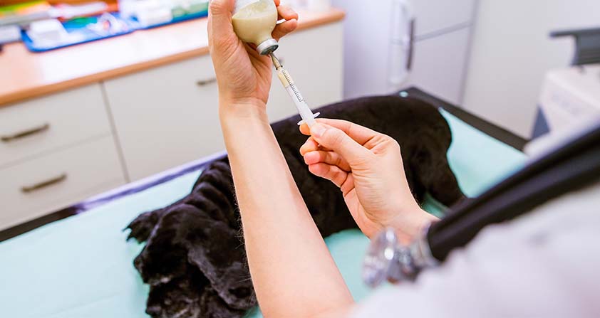 Clinical trial packaging and labelling