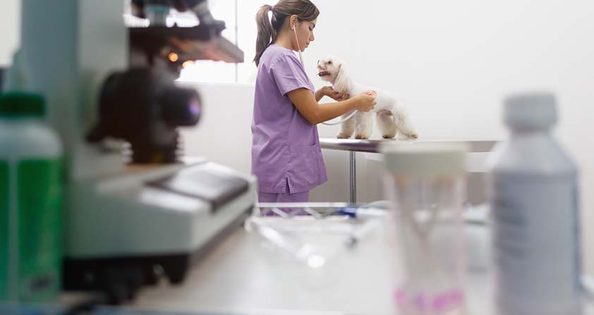 Clinical trial supply preparation